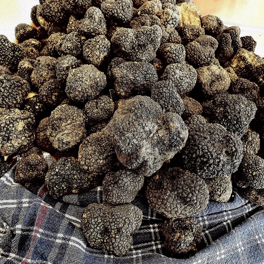 summer truffle