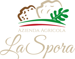 TRANCHEUSE À TRUFFES EN ACIER INOXYDABLE – Azienda Agricola La Spora